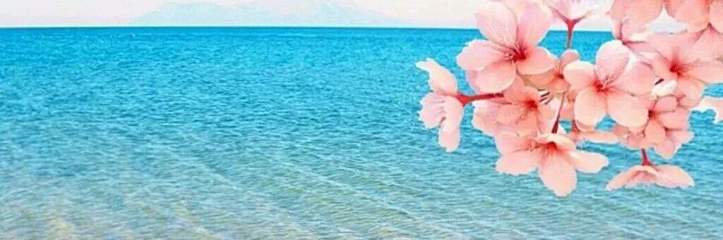 KehaulaniKyle's profile banner image