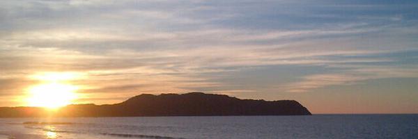 ncdhani Profile Banner