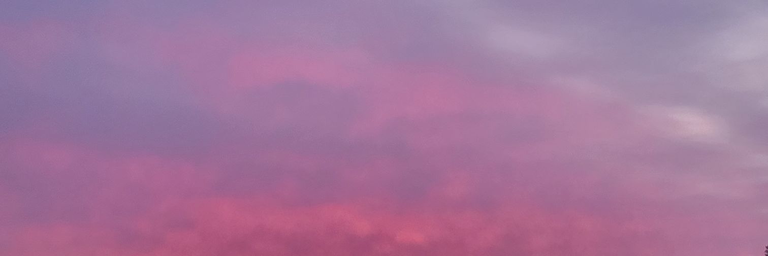 __Madusa__'s profile banner image