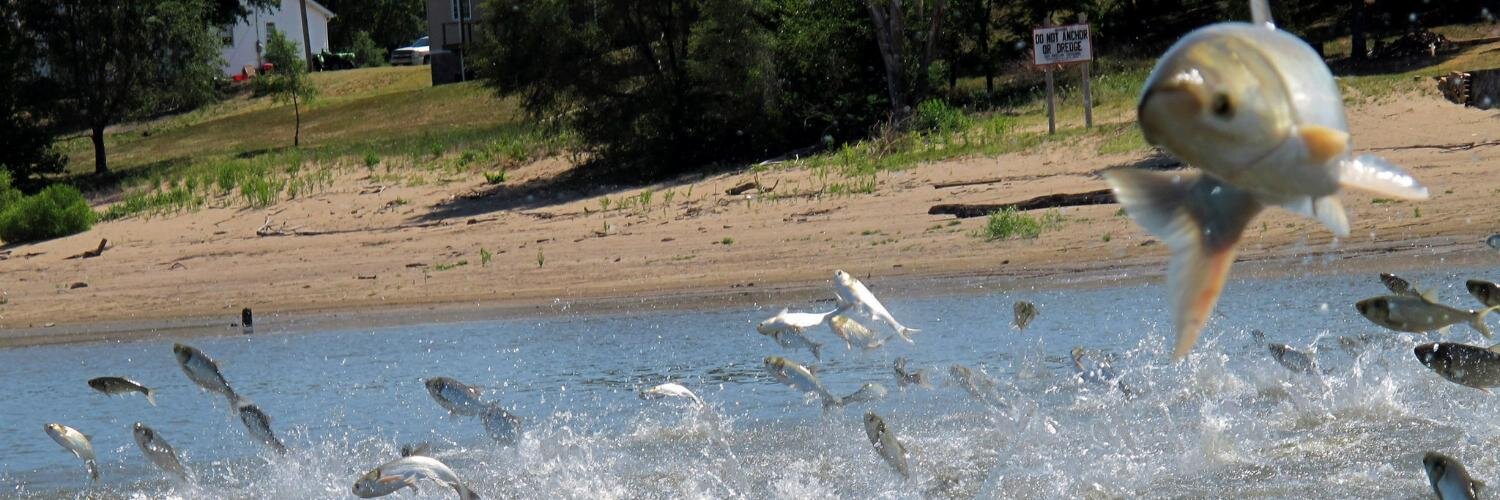 environmental DNA banner