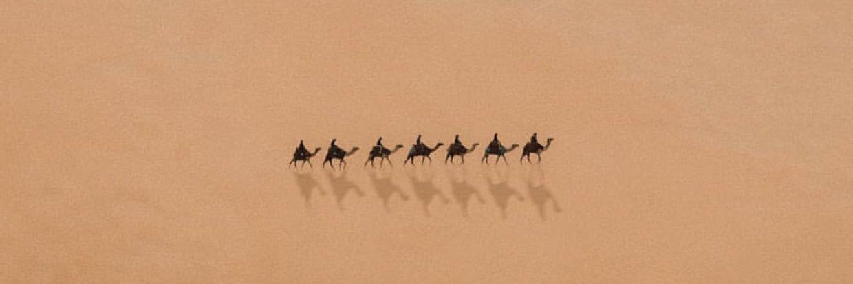 TrapCamel's profile banner image