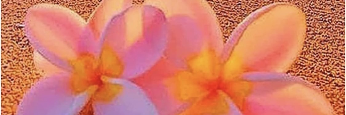 kiwitago's profile banner image