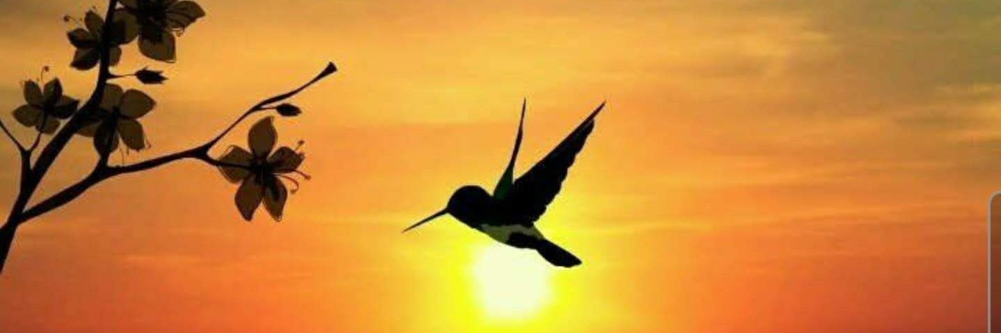 ANAMARIA2867's profile banner image