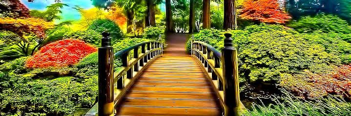 Naresh base.eth .ink (✱,✱) banner