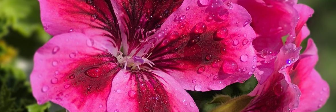 isilcin38's profile banner image