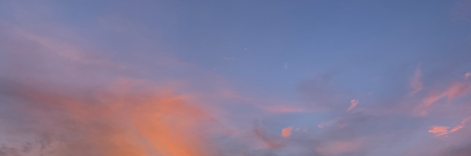 mackenzie_honey's profile banner image