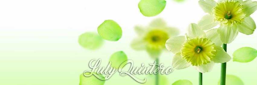 LulyQuinteroPam's profile banner image