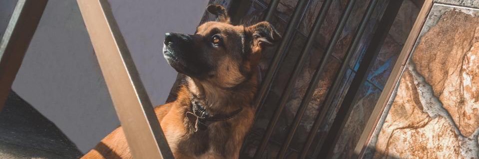 lucaas_torrees's profile banner image