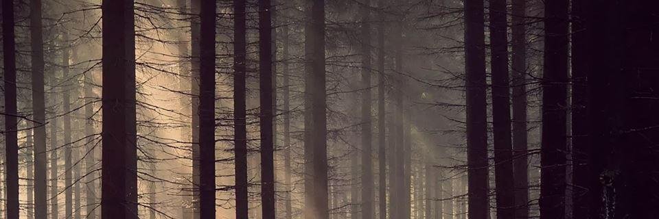 BRWrongTurn6's profile banner image