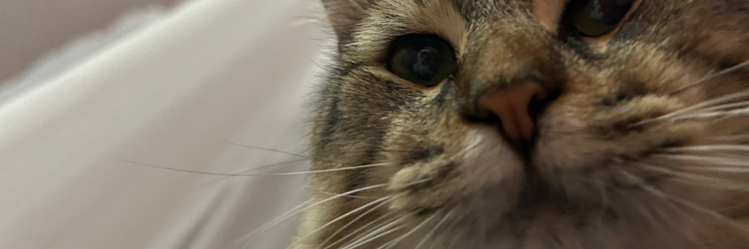 darispcy's profile banner image