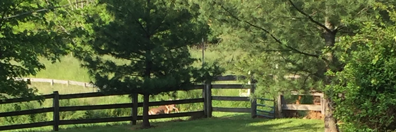 TEllison85's profile banner image