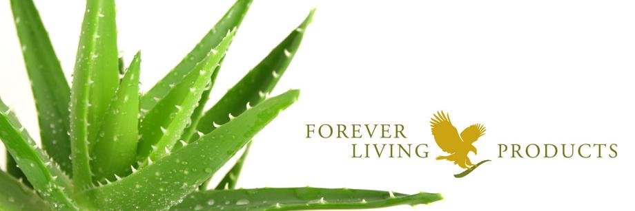 Leanne Smith banner