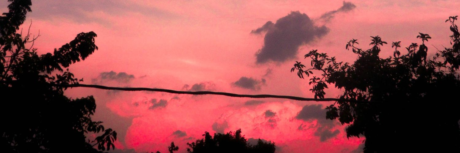 larawagon's profile banner image