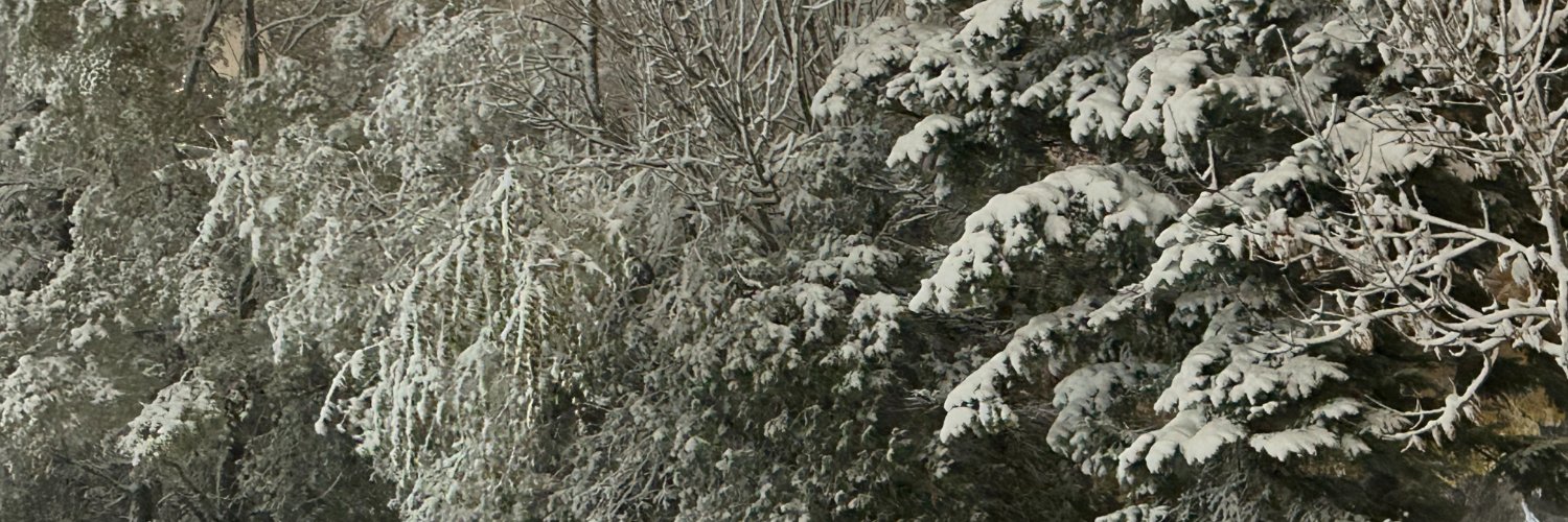 Mark Khoury 🇨🇦 banner