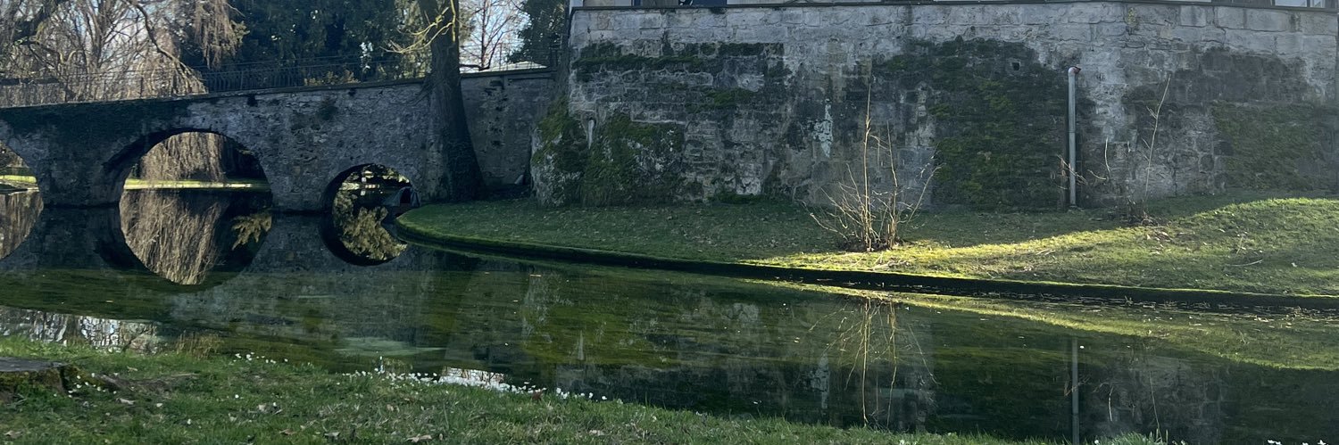 SwissChas's profile banner image