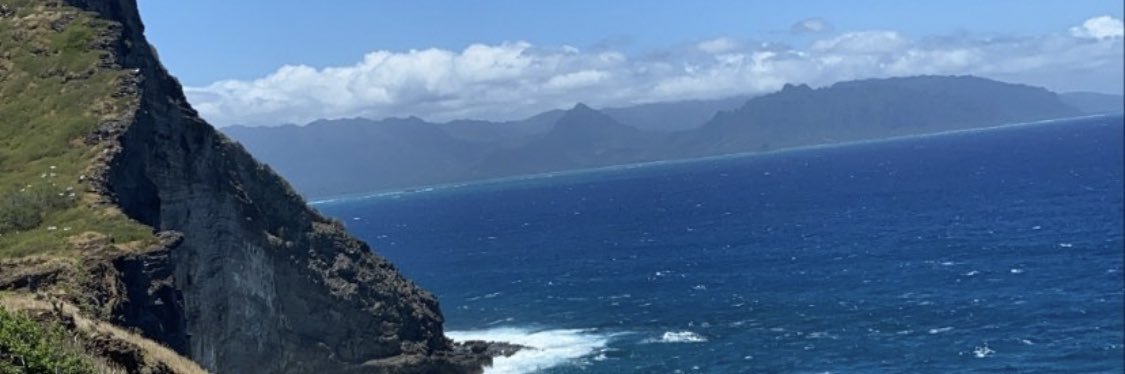 Difficult Woman 🇺🇦 banner