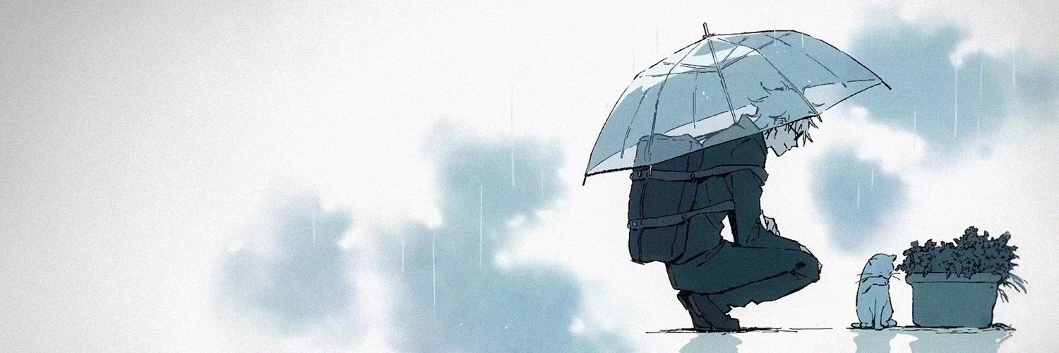 domijarrin's profile banner image