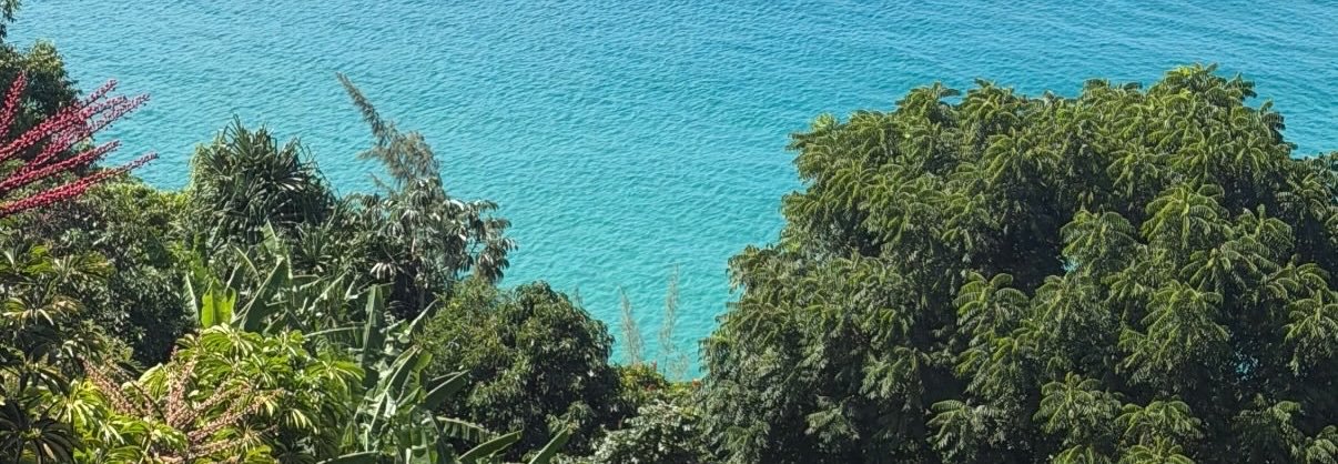 beyzonkol's profile banner image