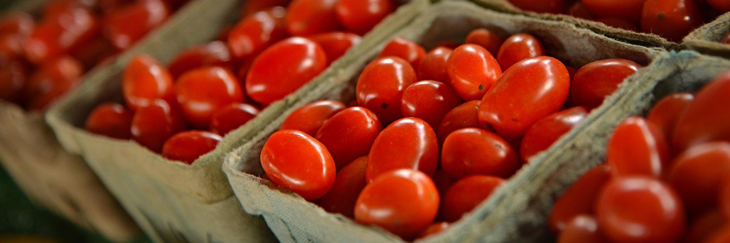 NC Food Innovation Lab banner