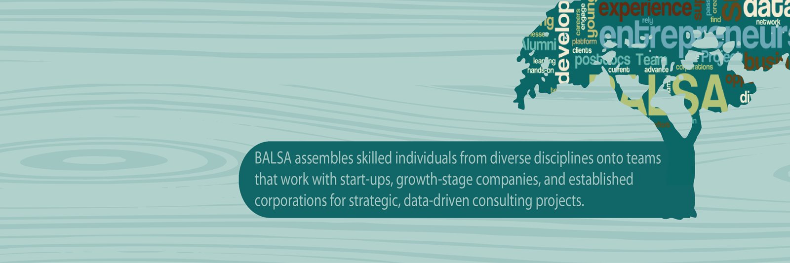 TheBALSAGroup's profile banner image
