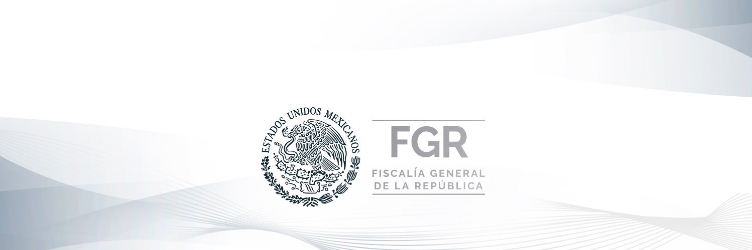 FGR México's banner