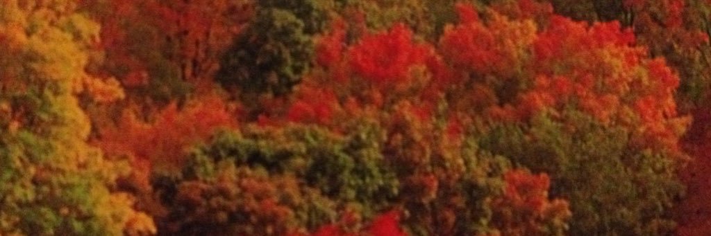 CooperHelen13's profile banner image