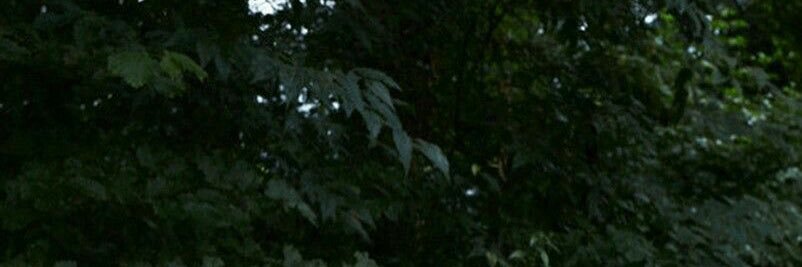 comfortcurIs's profile banner image