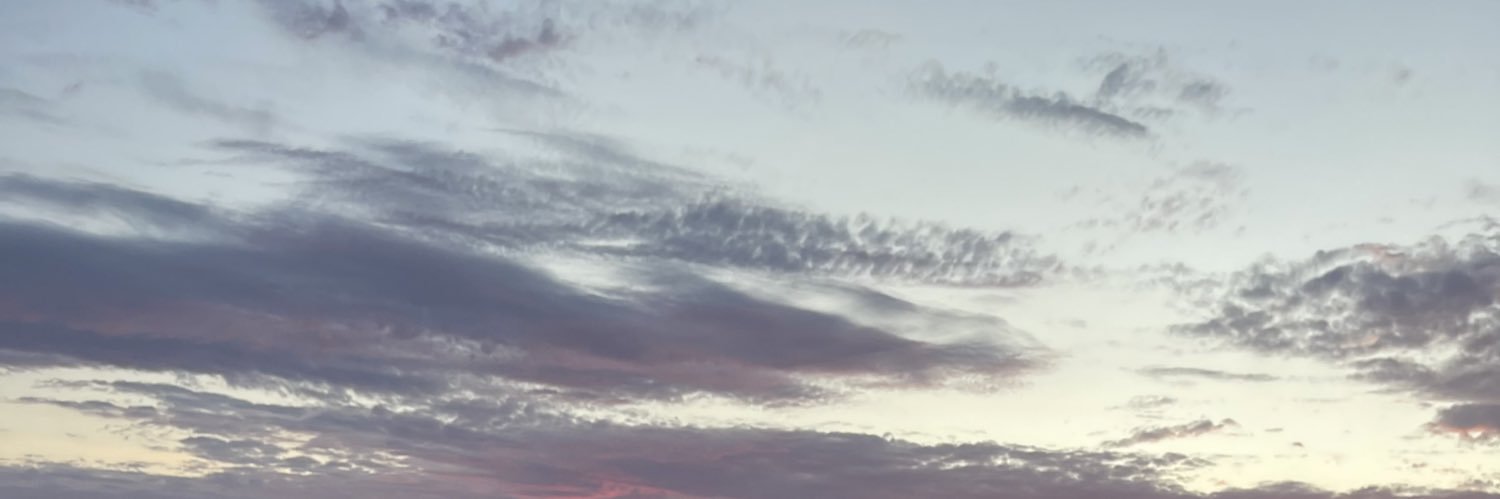 Ed Ta'amu banner