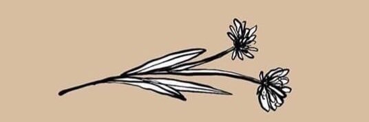 lainefutral's profile banner image