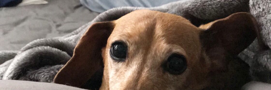 fatbunss's profile banner image