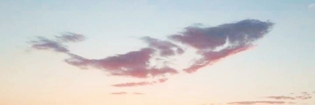 Aeris_Bang's profile banner image