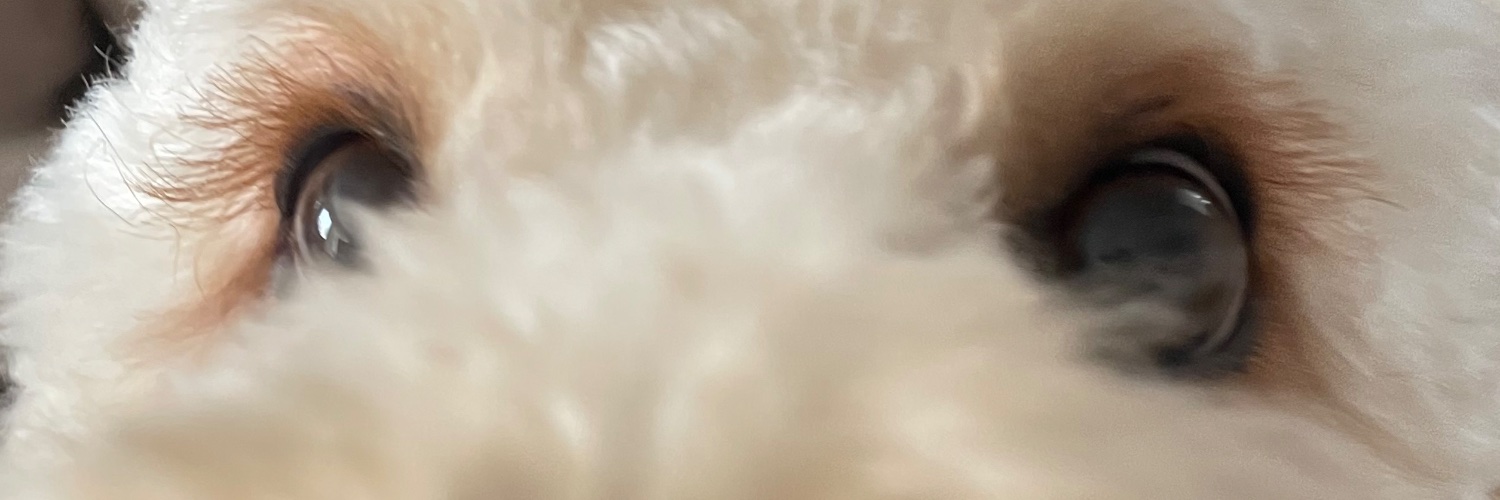 CryptoWyatt banner