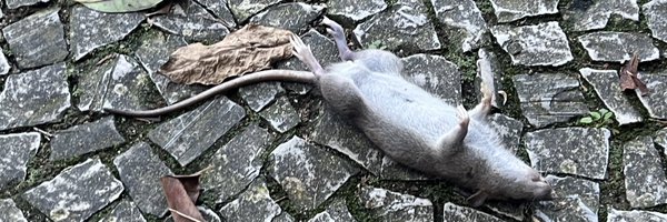 atomicdrama Profile Banner