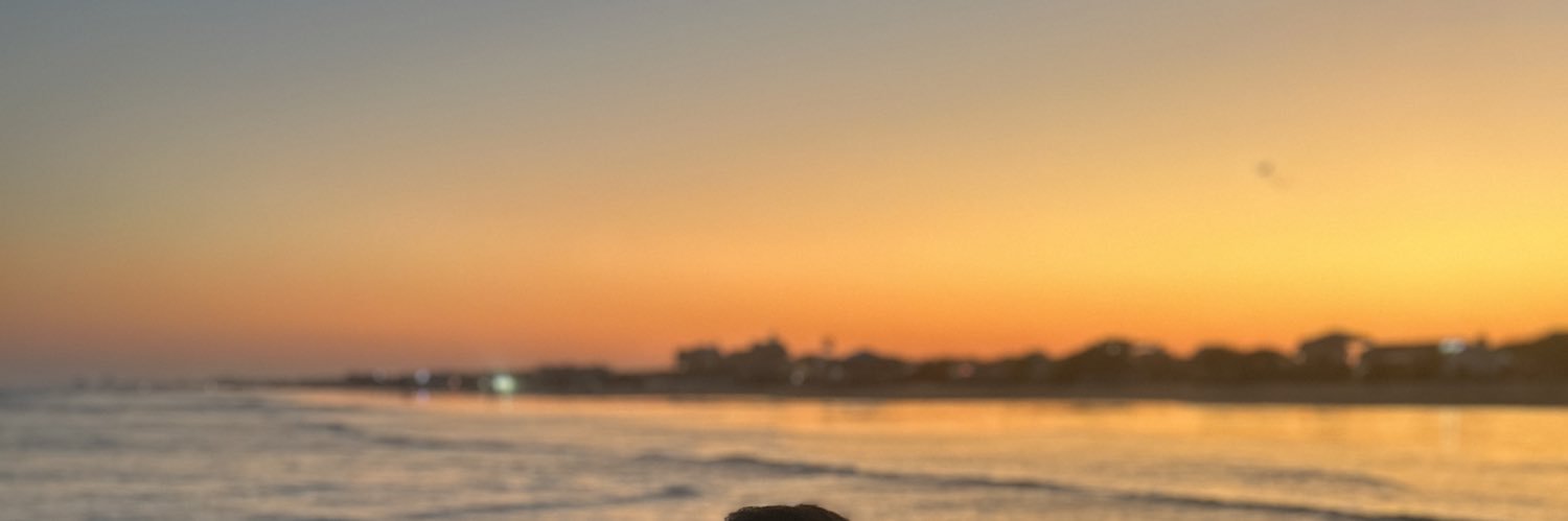 fernandaaaa_g's profile banner image