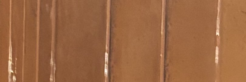 arianasvoice's profile banner image