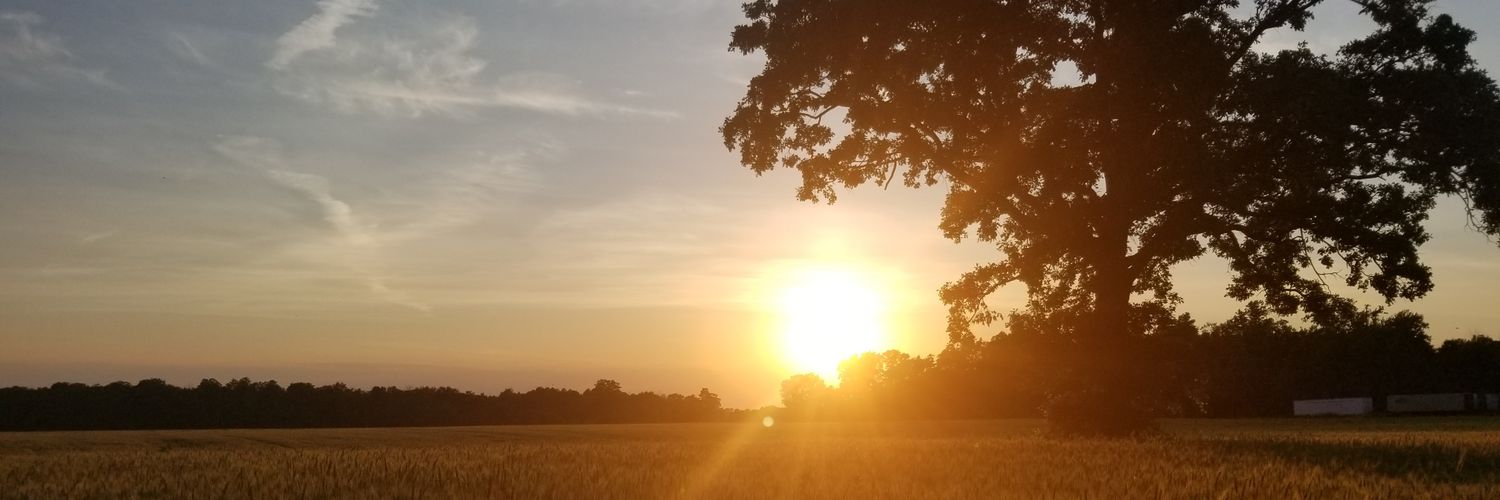 BCNmkr2's profile banner image