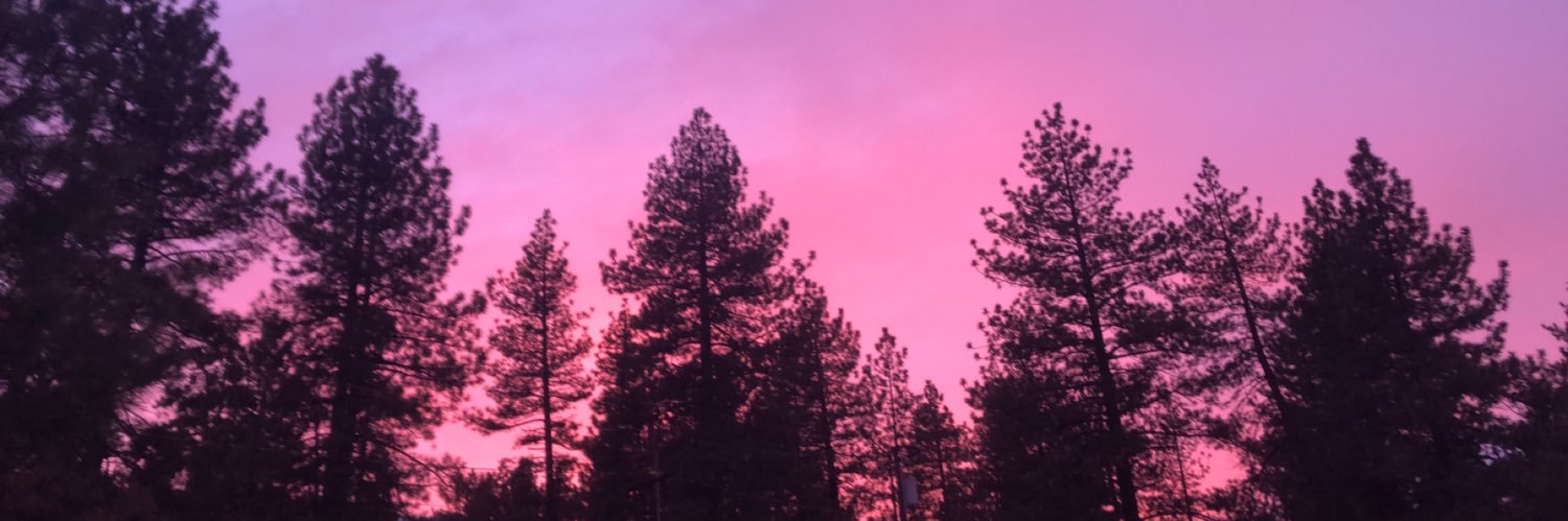 Kaytie_Jacklin's profile banner image