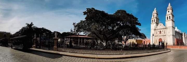 _PxtyCY's profile banner image