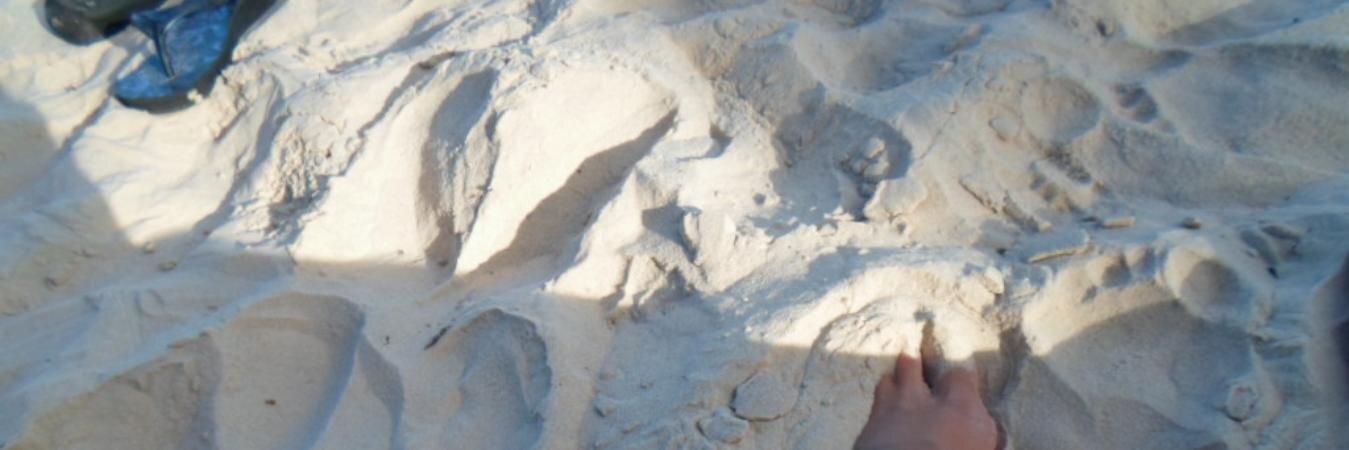 vickevv's profile banner image