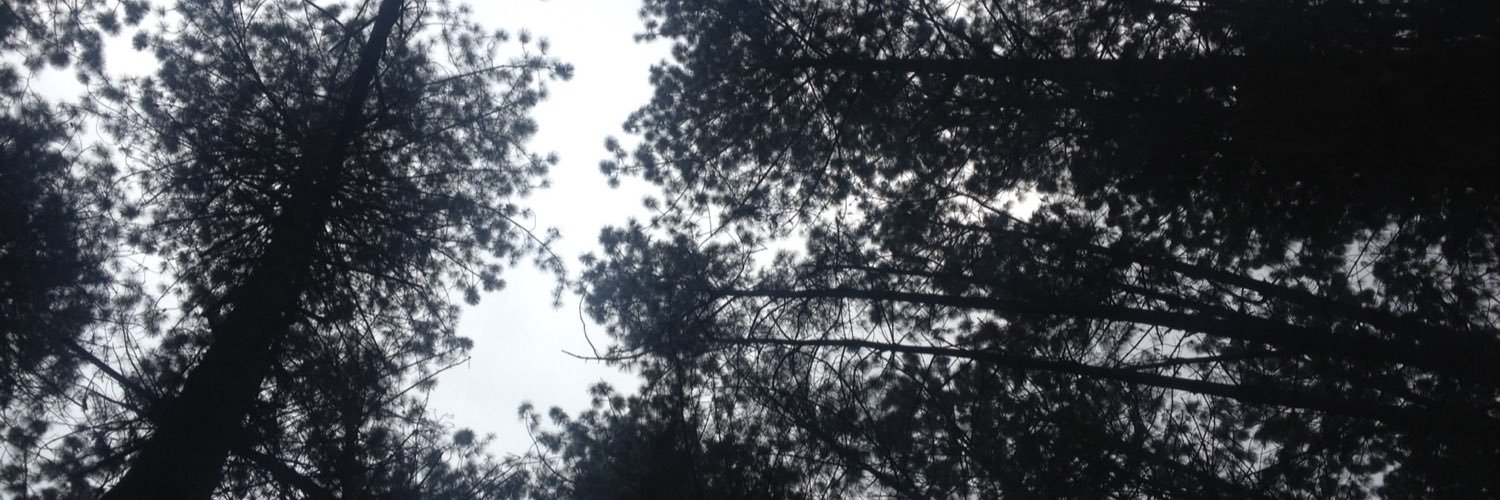 yurimaldonado's profile banner image