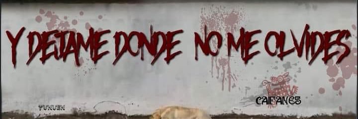 ponchovsky2's profile banner image