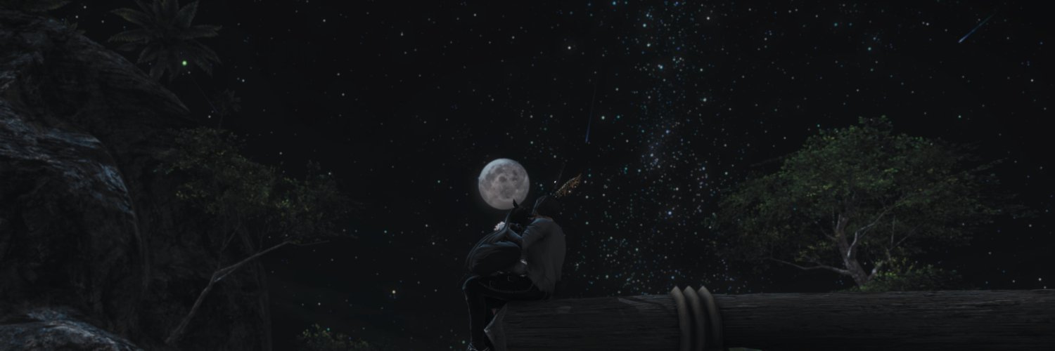 Nazrin Enjoyer banner