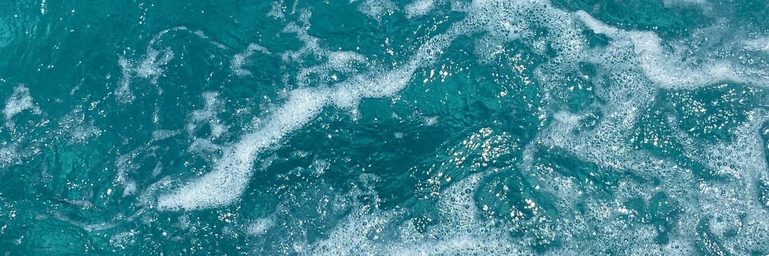 fonsecaanna_'s profile banner image