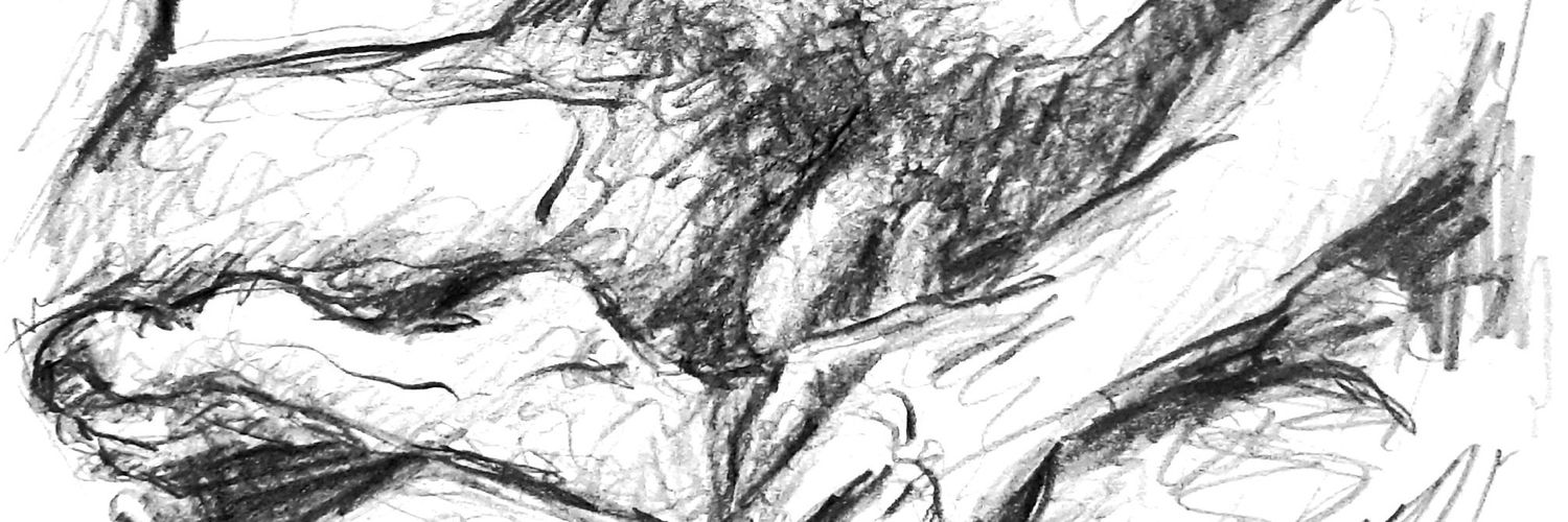 Achi pum pum guri guri tolón tolón banner