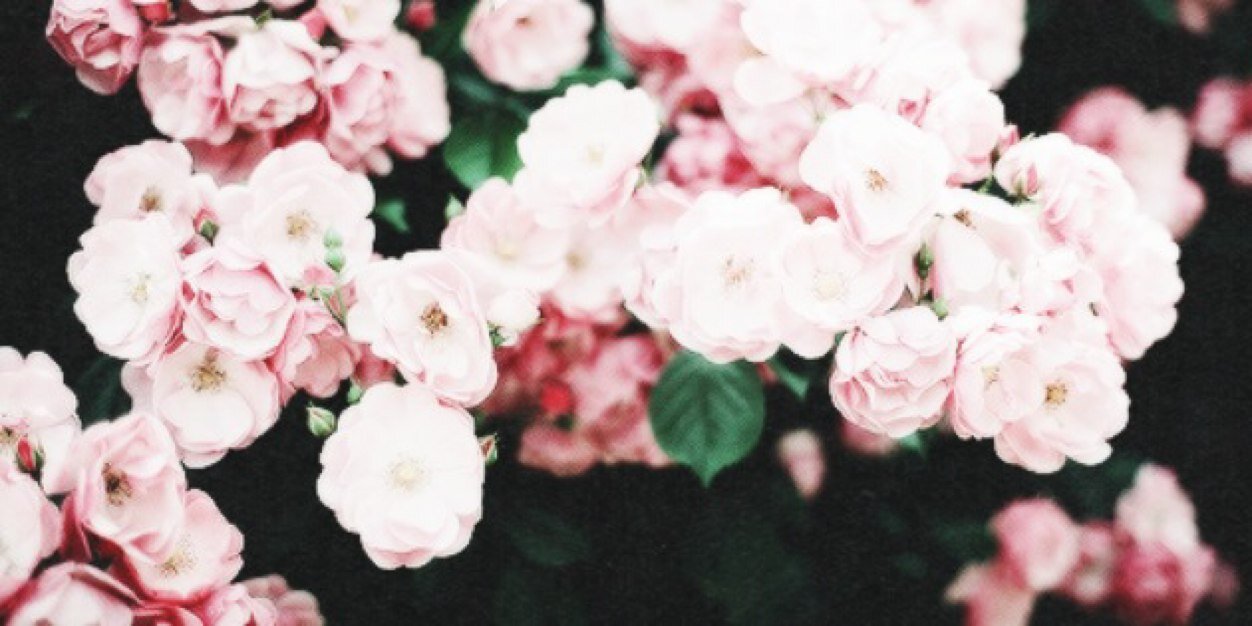 CMurrel1's profile banner image
