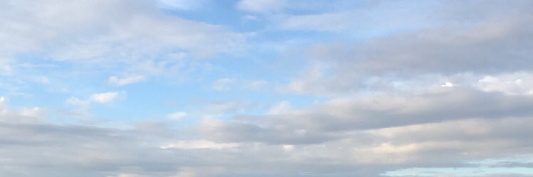 angeleminard's profile banner image
