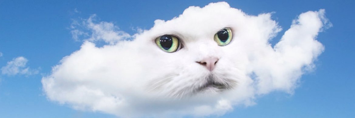 bobyama369's profile banner image