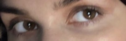 THE BAYOU BORICUA 🐊🇵🇷 banner