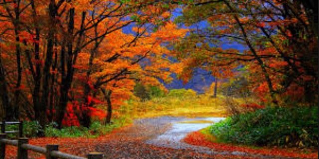 Sammo_14's profile banner image