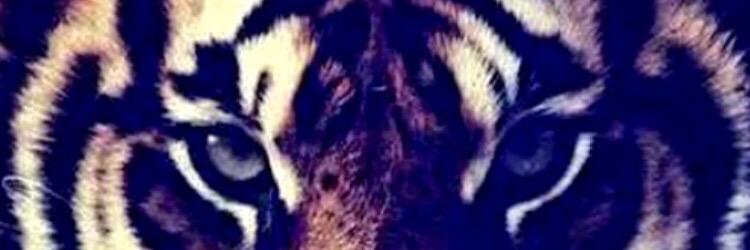 giacomofioroni's profile banner image